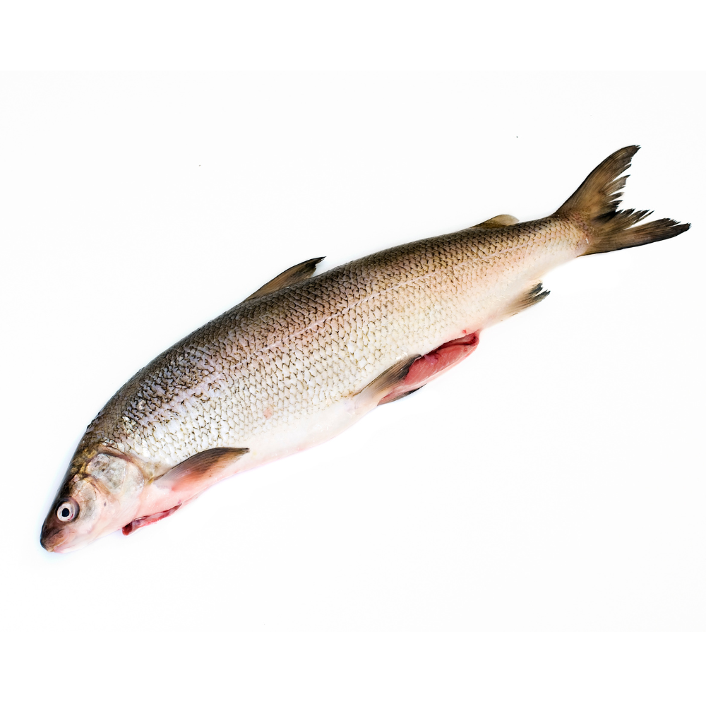 Sieja kanadyjska patroszona 1kg